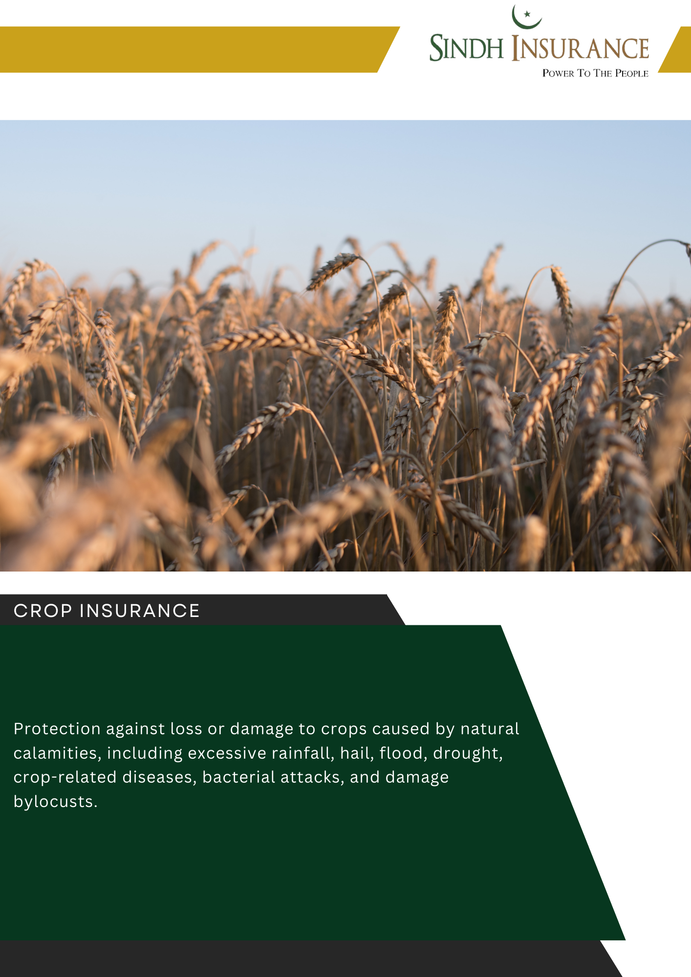 Crop Insurance